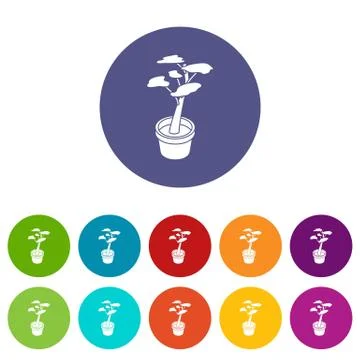 Office flower icons set vector color Stock Illustration