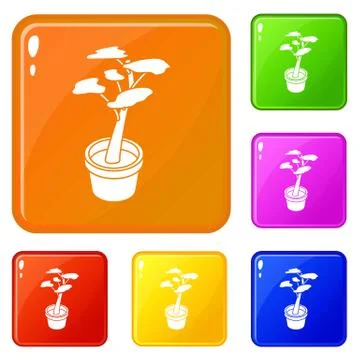 Office flower icons set vector color Stock Illustration