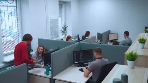 An office in an IT company, programmers work in an office Stock Footage 211038534
