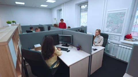 An office in an IT company, programmers work in an office 스톡 동영상 211038661