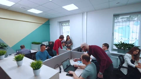 An office in an IT company, programmers work in an office 스톡 동영상 211038768