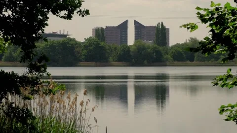 Office lake Stock Footage 142211979