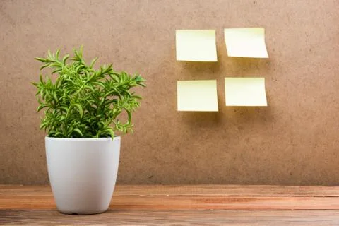 Office notes on board, copy space for ad text, plant flower, wooden grunge Stock Photos