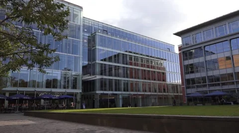 Office Reflection Windows Video stock 56160851