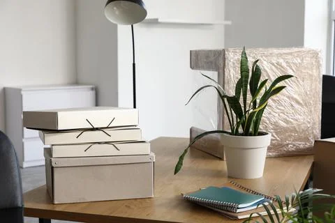 Office relocation and moving boxes on wooden desk with potted plant, business Stock Photos