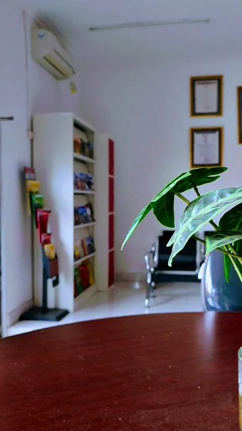 Office room Stock-Footage 214611407