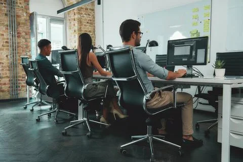 Office routine. Back view of young employees working on computers while sitting 스톡 사진