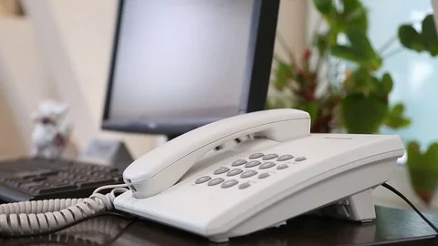 Office start the phone conversation Stock Footage 72451422