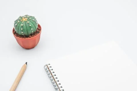 Office table with cactus, notebook and pencil, top view, flat lay with white  Stock Photos