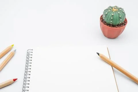 Office table with cactus, notebook and pencil, top view, flat lay with white  Stock Photos