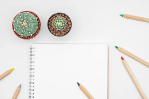 Office table with cactus, notebook and pencil, top view, flat lay with white  Foto stock