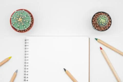 Office table with cactus, notebook and pencil, top view, flat lay with white  Stock Photos