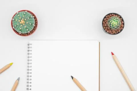 Office table with cactus, notebook and pencil, top view, flat lay with white  Stock Photos
