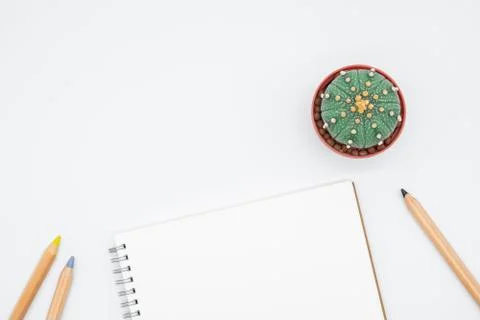 Office table with cactus, smartphone, notebook, eyeglasses and pencil, top vi Stock Photos