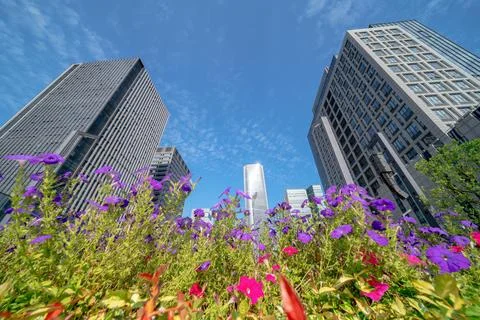 Office tall building Stock Photos