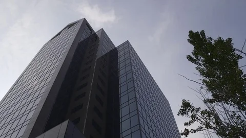 Office tower with tree in foreground Stock Footage 76326143