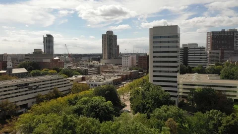 Office towers and tree canopy in downtown New Brunswick Stock-Footage 95919626
