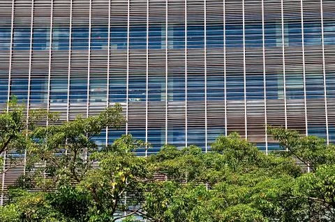 Office windows and trees Stock Photos