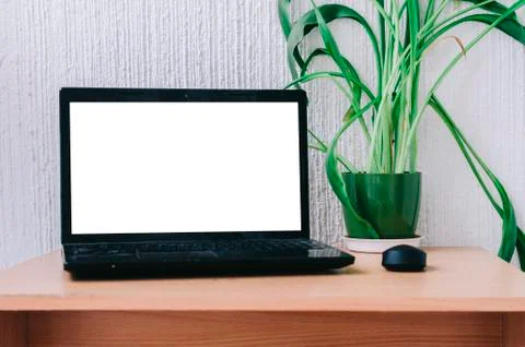 Office Work Place Stock Photos