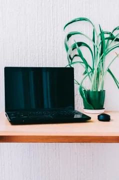 Office Work Place Stock Photos