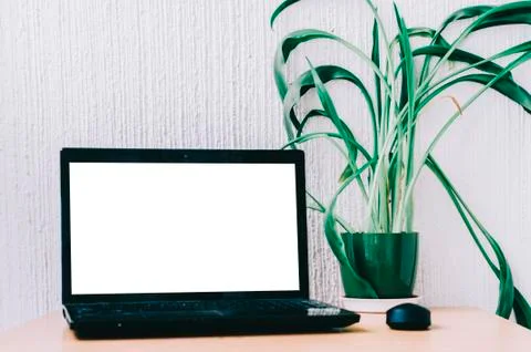 Office Work Place Stock Photos