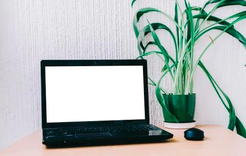 Office Work Place Stock Photos