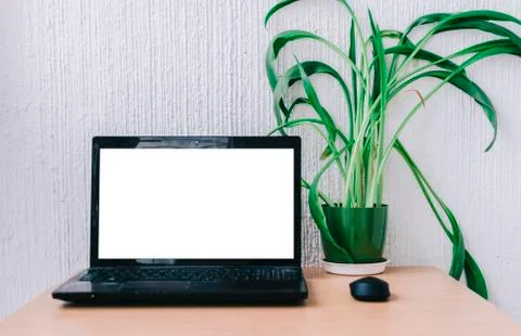 Office Work Place Stock Photos