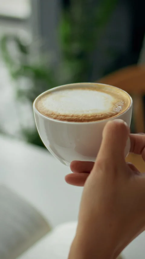 Office worker enjoys lunch at a restaurant with cappuccino and a book Stock Footage 331668133