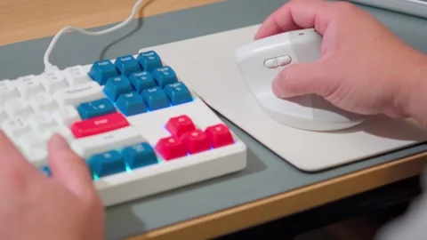 Office Worker Hands Using Computer Mouse and Keyboard Close Up Stock Footage 341919167
