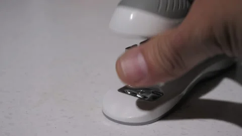 Office Worker Loads Stapler Stock Footage 220313512