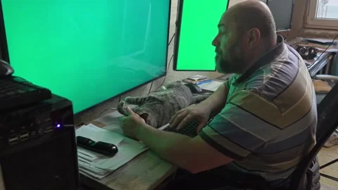 Office Worker Pampering His Very Calm Pet Cat on Desk Stock Footage 336542102