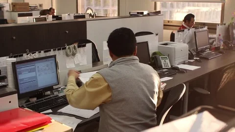 Office workers in cubicles Video stock 77046641