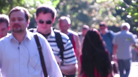 Office workers go through the park Stock Footage 53299950