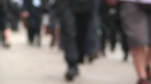 Office Workers Legs Walking Video stock 995854