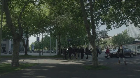 Office workers protesting Stock Footage 77049835