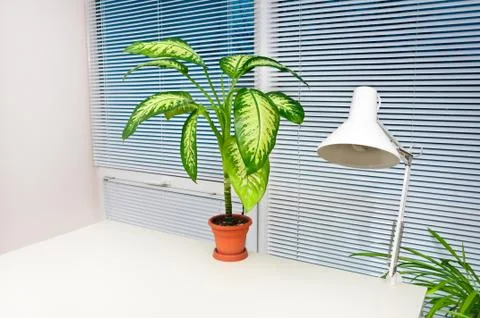 Office workplace Stock Photos