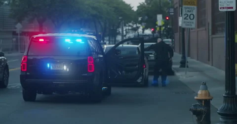Officer Pulled Over Driver Stock Footage 242816448