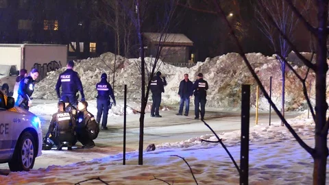 Officers preparing to arrest a second suspect Stock Footage 125466366
