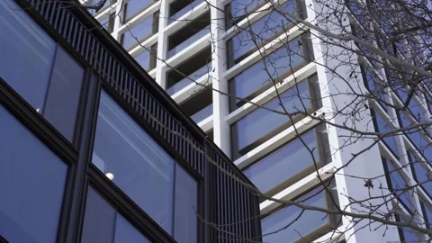 Offices windows with autumn tree branches. Stock Footage 270435660