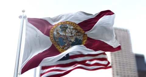 The official flag of Florida flying 库存影片 150375357
