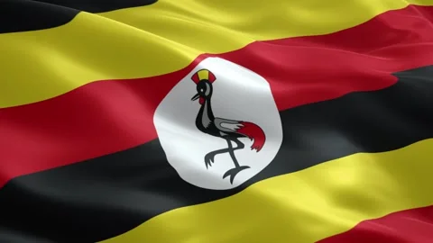 Official Uganda flag waving with black yellow red stripes and grey crowned .. Stock Footage 334343617