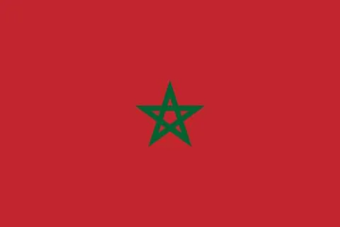 Official vector flag of Morocco . Kingdom of Morocco . Illustrazione stock
