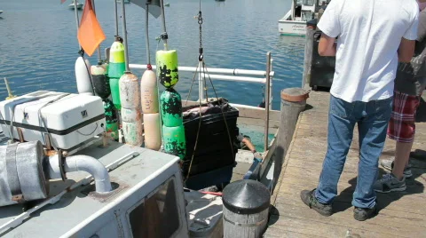 Offloading fish with crane Stock Footage 829574