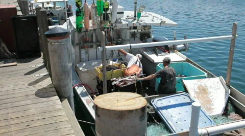 Offloading fisherman's catch Stock Footage 829589