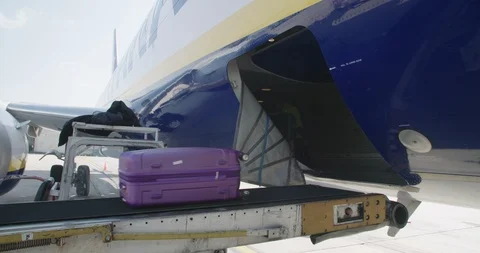 Offloading of luggage from airplane at the airport Stock Footage 86126501