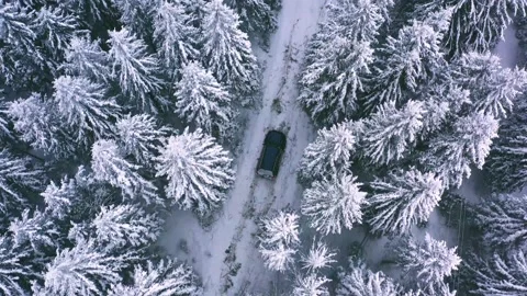 Offroad car trip through the Ukrainian Carpathians in winter. 動画素材 146836203