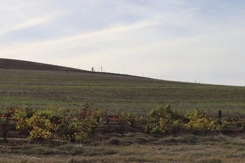 Offroad cyclist on horizon Stock Photos
