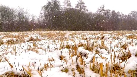 Offroad drifting and skidding training for road safety in winter. Video stock 101069590