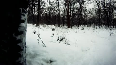 Offroad driving through snowy forest Stock Footage 14808425