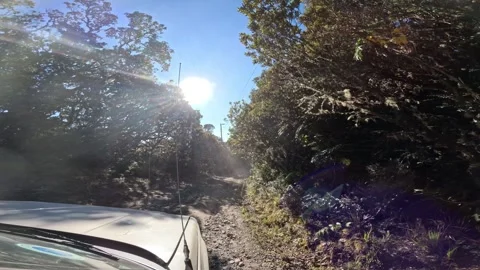 Offroad driving through sunny forest track with bright sun flare Stock Footage 345014008